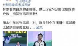 衡水中学老师爆料视频,揭秘教育现状与师生困境